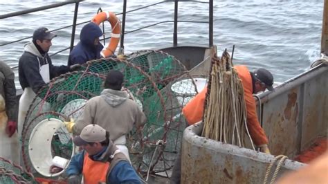 Pesca de centolla Buque Talismán YouTube