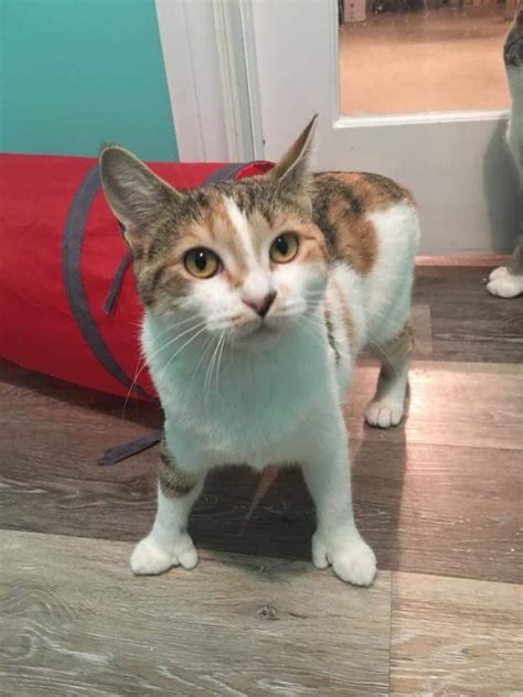 Best Edmonton Alberta Images On Pholder Pics City Porn And Edmonton