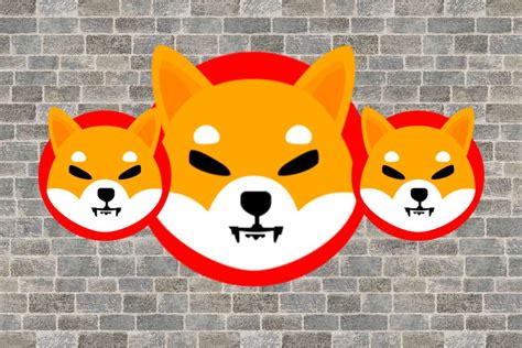 Shiba Inu Lead Developer Unveils Use Cases In New Shibarium Self