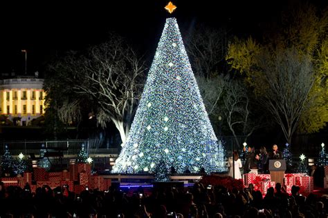 Christmas Tree Lighting White House 2024 - Melva Sosanna