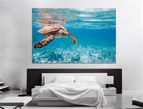 Hawksbill Sea Turtle Swimming Turtle Pictures Turtle Print Etsy