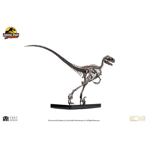 Jurassic Park Figure Raptor Skeleton Bronze Cm Estatuas