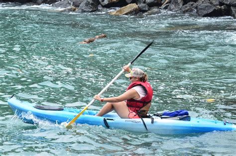 Ocean Kayaking And Snorkeling From Manuel Antonio Tucanes Tours