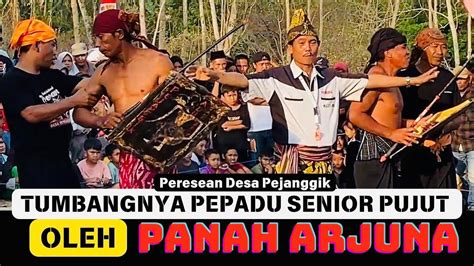 PANAH ARJUNA TUMBANGKAN PEPADU PUJUT Peresean Terbaru Desa Pejanggik