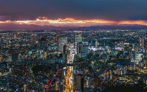 Roppongi Hills Restaurants | A Culinary Guide