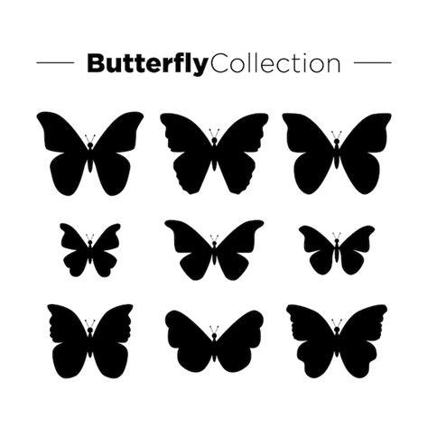 Conjunto De Mariposas Siluetas Negras Sobre Fondo Blanco Vector