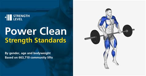 Power Clean Standards For Men And Women Lb Strength Level