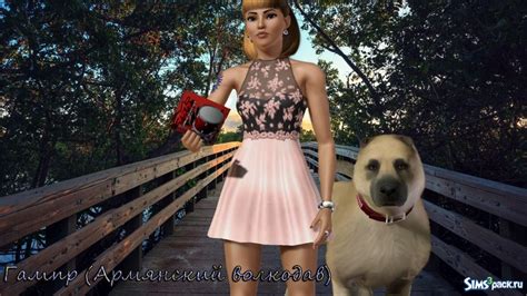 Животные для Симс 3 Питомцы - скачать бесплатно питомцев для Sims 3