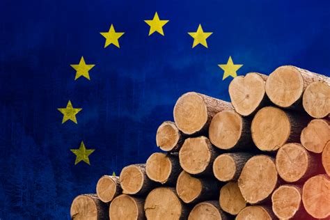 American Hardwood Exporters Hire Dovetail Partners To Assess EUDR