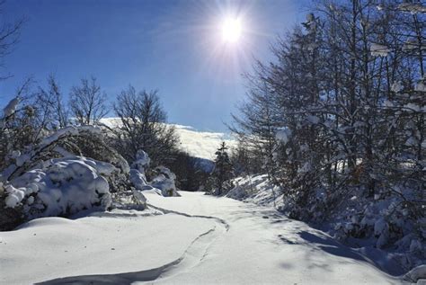 Vacanze Sulla Neve A Rocca Di Cambio Cosa Vedere E Cosa Fare Nel