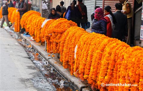 तिहारमा करिब १४ करोडको माला बिक्री ४५ लाखको मखमली निर्यात Online Khabar