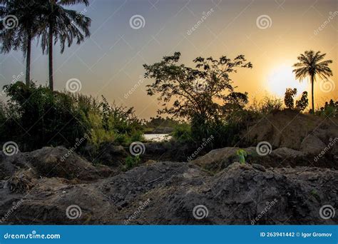 West Africa Guinea Conakry and Vicinity of Conakry 2022 Stock Photo ...