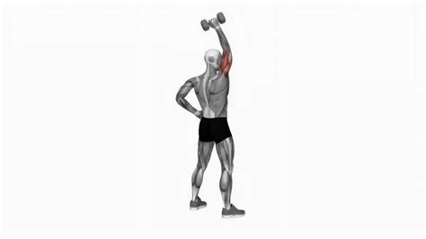 Dumbbell Standing One Arm Extension Fitness Exercise Workout Animation