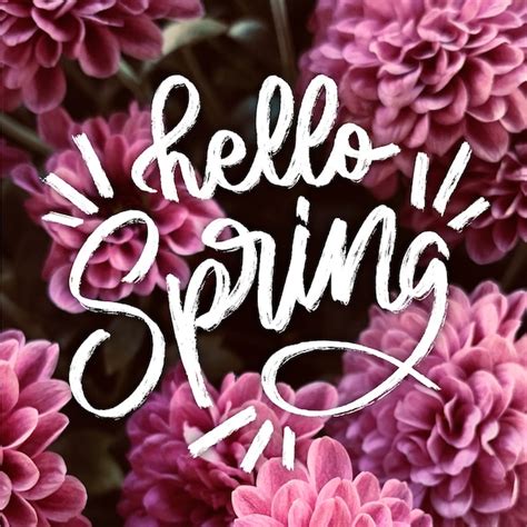 Hola Letras De Primavera Con Foto Vector Gratis