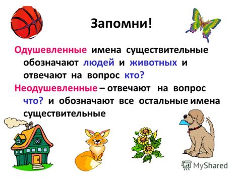 Картинки Одушевленные И Неодушевленные Предметы — Фото Картинки