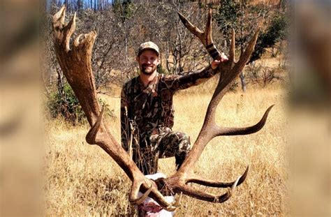 Archery Hunter Tags New Oregon State Record Cascade Roosevelt Bull