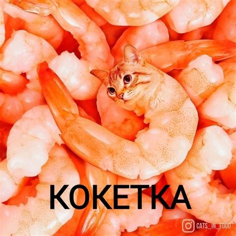 There Is A Cat That Is Sitting In The Middle Of Some Shrimp And Its