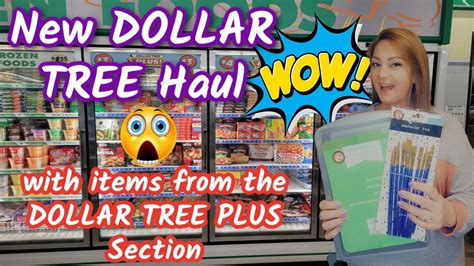 New Dollar Tree And Dollar Tree Plus Haul Youtube