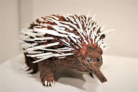 Eco Echidna Glenorchy Arts And Culture