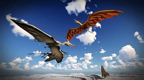 10 Fun And In Depth Pterodactyl Facts With Scenarios