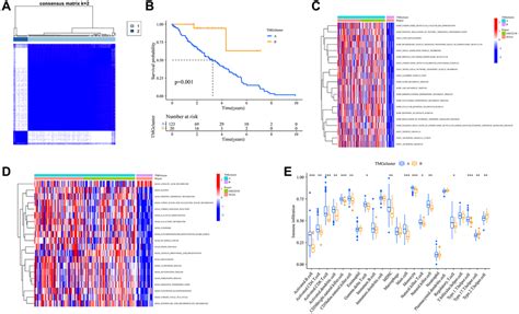 Tryptophan Metabolism Related Gene Expression Patterns Unveiling