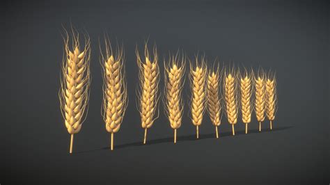 Wheat — Free Download Free 3d Model By Yaroslav Karas Yakaras