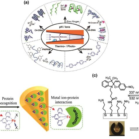 Color Online Transient Ion Transport In Solid State Nanopores A