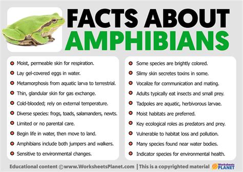 Facts About Amphibians