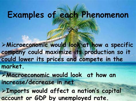 Difference Between Micro And Macroeconomics Ppt