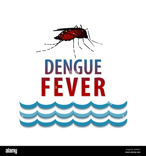 Dengue fever fever Fotos und Bildmaterial in hoher Auflösung Alamy