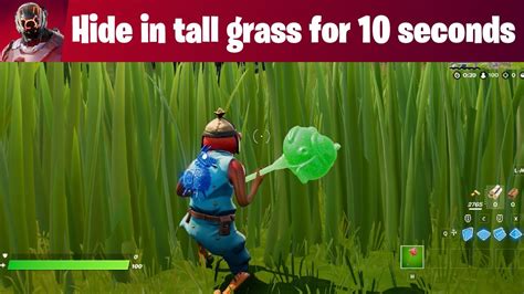 Fortnite Hide In Tall Grass For Seconds Youtube