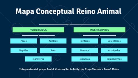 Mapa Del Reino Animal