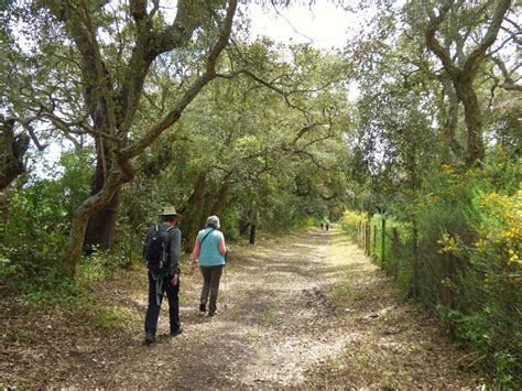 Portugal Walks around Lisbon and Alentejo - city and country