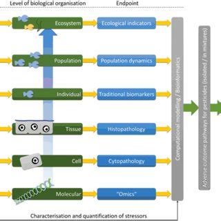 Simplified Overview Of The Systems Biology Principle Applied To The