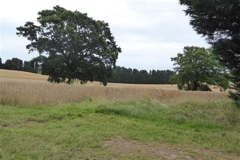 Farmland South Of Ocle Pychard Philip Halling Cc By Sa