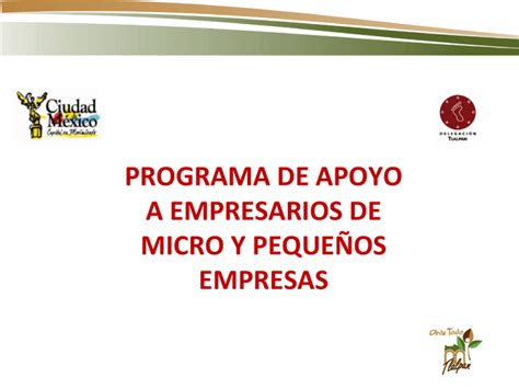 Programa De Apoyo A Empresarios De Micro Y Peque Os Empresas