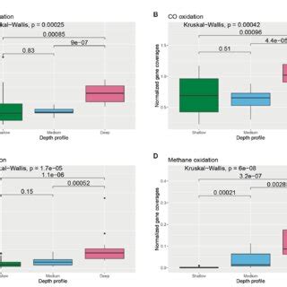 Boxplot Showing The Distribution Of Different Carbon Cycle Genes