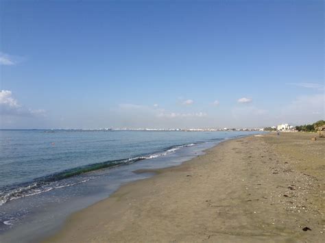 Oroklinis Noticeboard Larnaca Cyprus City Trip Larnaca Cyprus