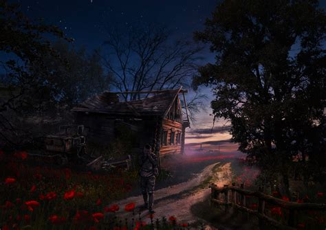 ArtStation - Маковое поле S.T.A.L.K.E.R. 2