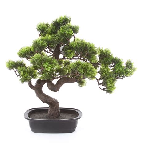 Sztuczne Drzewko Bonsai Sosna Cm Hydroponika Pl