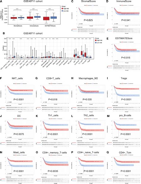 Frontiers A Novel Cuproptosis Related Subtypes And Gene Signature