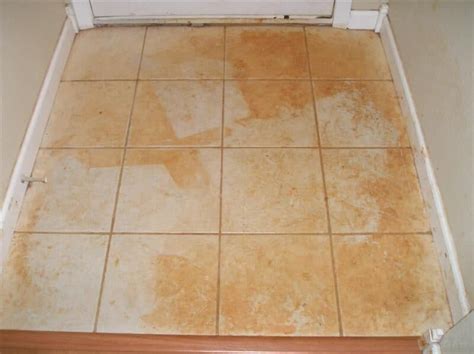 Cleaning Ceramic Tile Floors With Ammonia Floor Roma