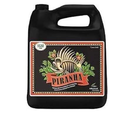 Fatliquor Piranha 500 Ml Vivre