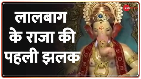 मुंबई में लालबाग के राजा की पहली झलक Lal Bagh Ke Raja 2022 Hindi News Ganesh Chaturthi