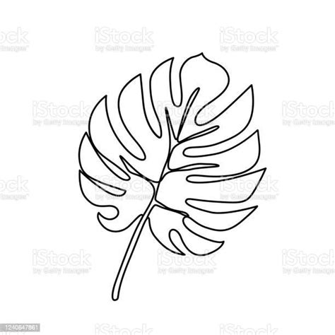 Continuous Line Monstera Leaf Tropical Leaves Contour Drawing Stock