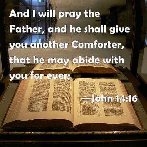 John 14:16 And I will pray the Father, and he shall give you another ...