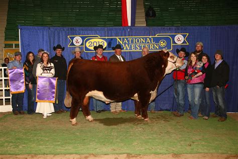 2013 National Western Stock Show – SUPREME CHAMPION HEREFORD – Thomas ...