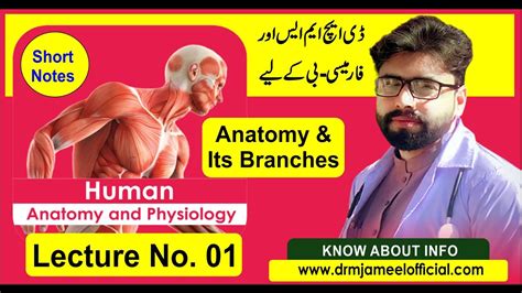 Definition Of Anatomy And Branches Know About Info Anatomy And