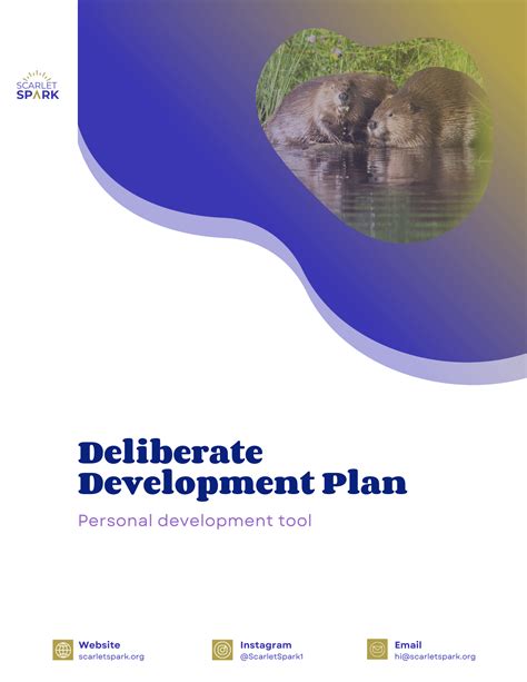 Deliberate Development Plan | Scarlet Spark