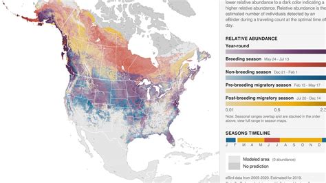 More Than 316,000 Bald Eagles Live in the Lower 48, New Estimate Says | All About Birds